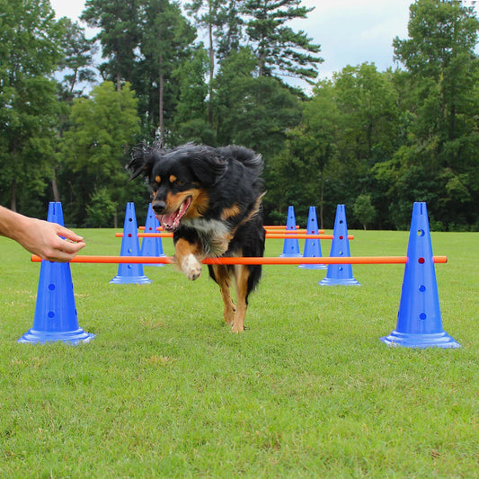 Dog Agility Hurdle Cone Set