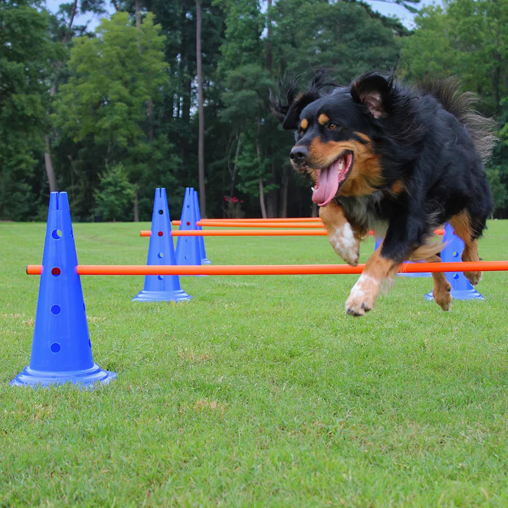 Dog Agility Hurdle Cone Set