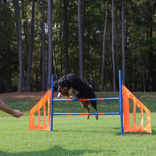 Dog Agility Jump Set