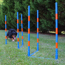 Load image into Gallery viewer, Dog Agility Weave Set
