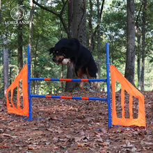 Load image into Gallery viewer, Dog Agility Jump Set
